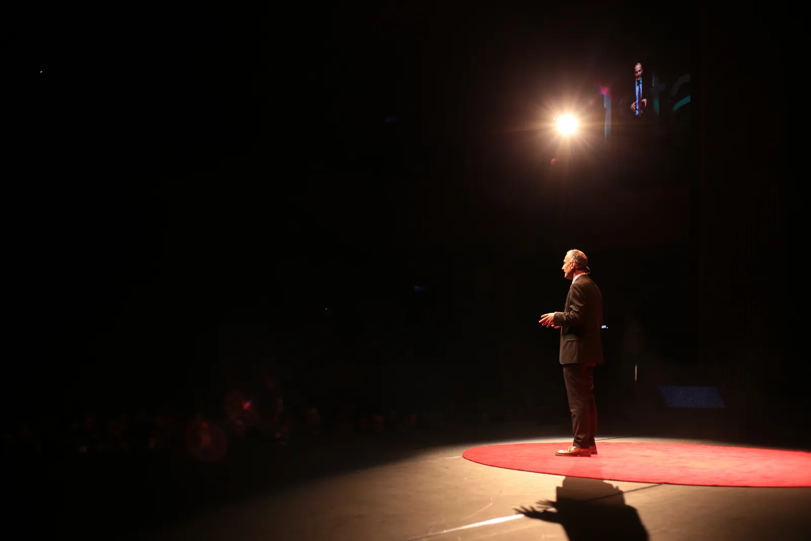 TEDxIstanbul, görsel 1