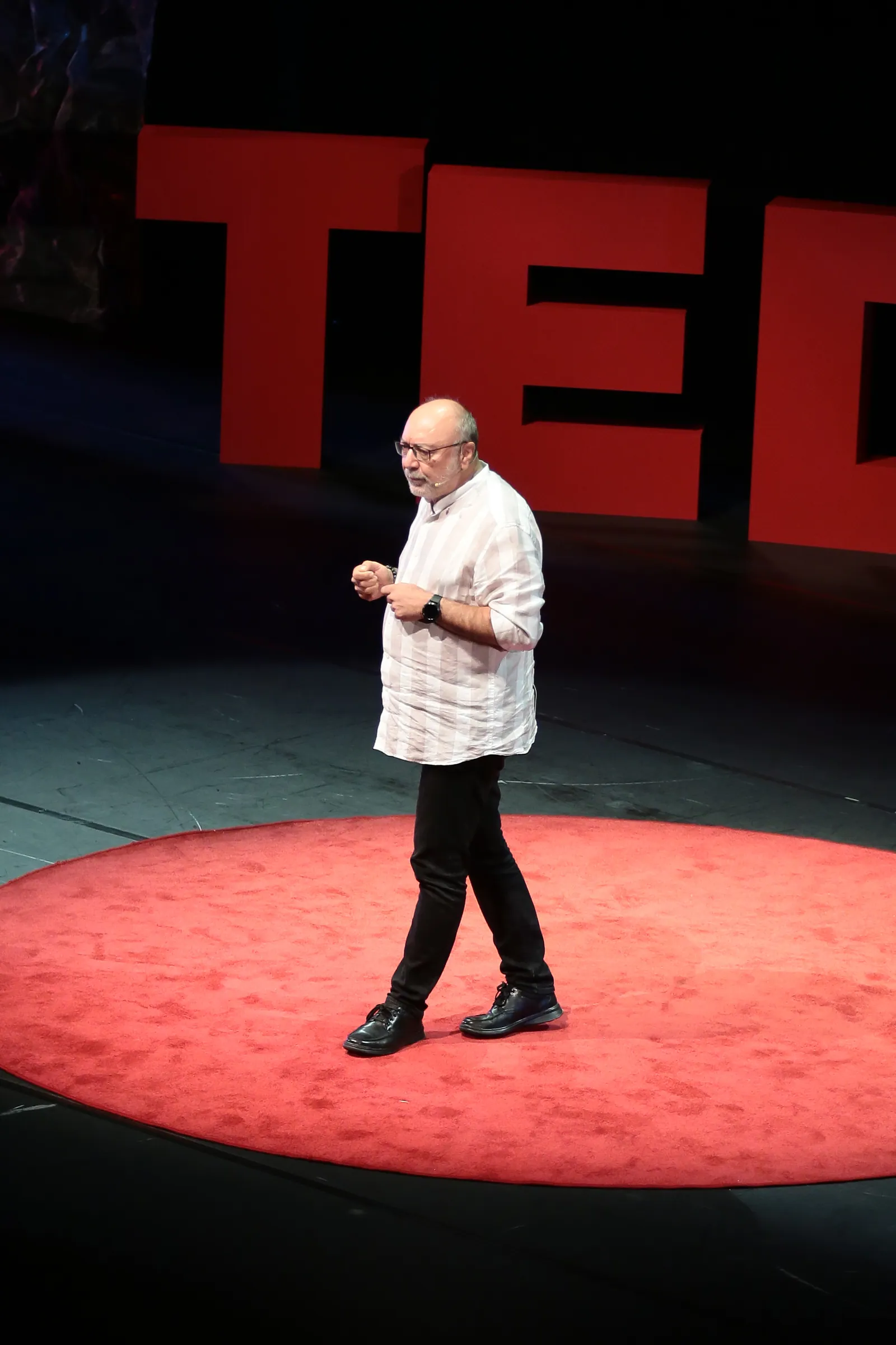 TEDxIstanbul, görsel 8