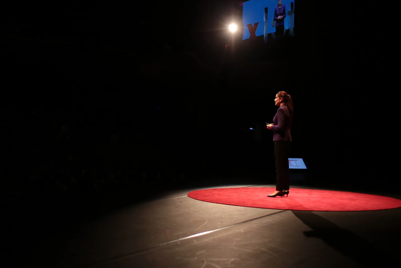 TEDxIstanbul, görsel 14