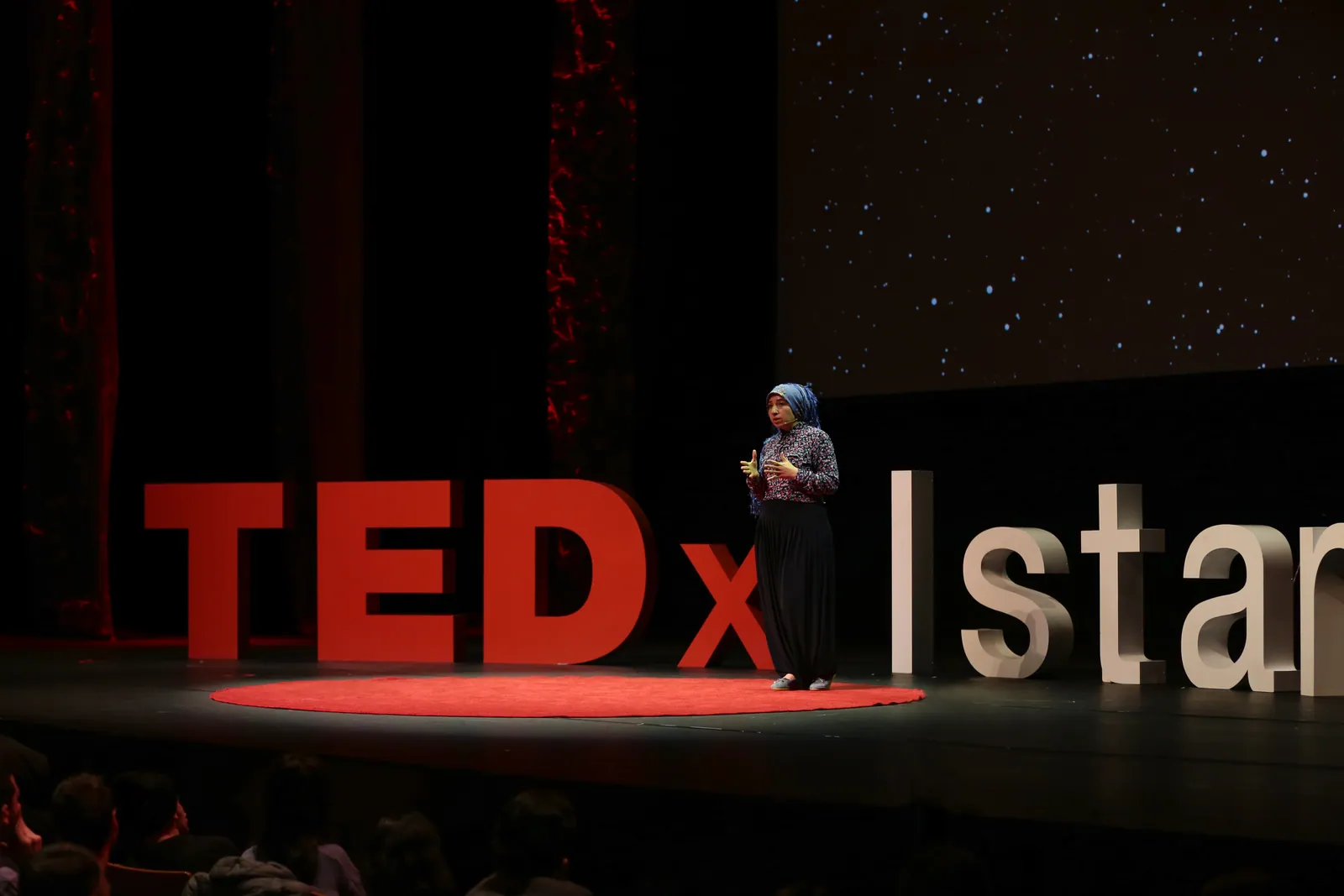 TEDxIstanbul, görsel 15